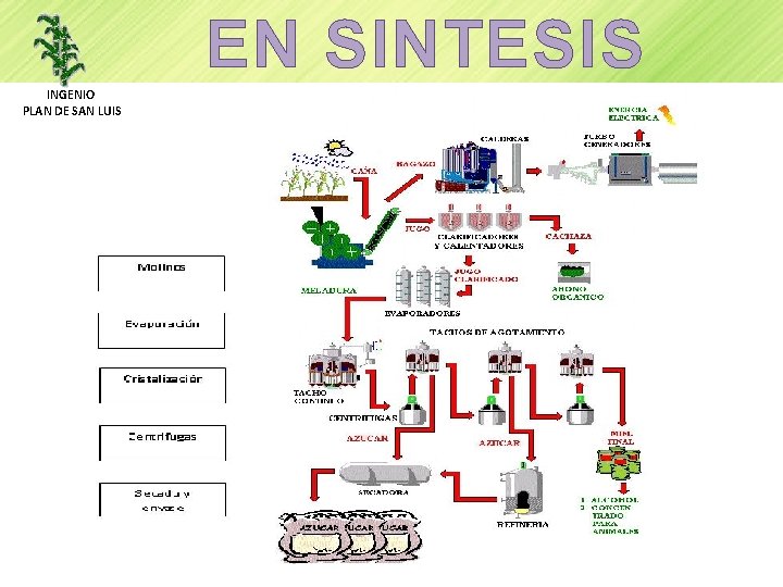 EN SINTESIS INGENIO PLAN DE SAN LUIS 