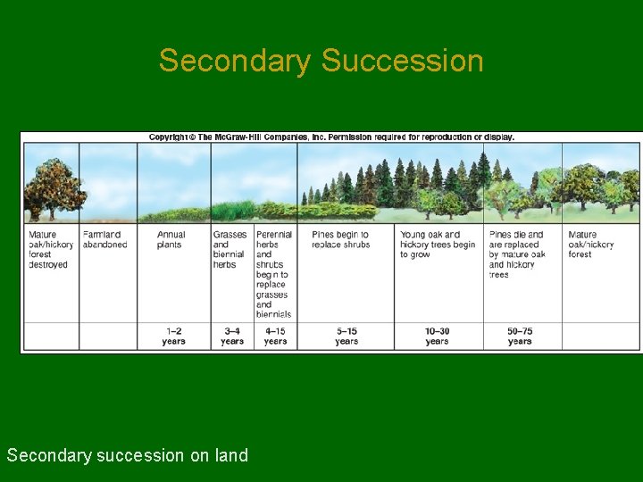 Secondary Succession Secondary succession on land Secondary Succession Secondary succession on land