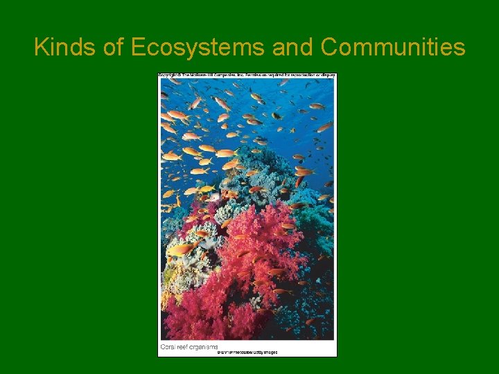 Kinds of Ecosystems and Communities Kinds of Ecosystems and Communities