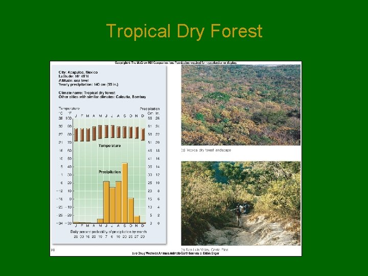 Tropical Dry Forest Tropical Dry Forest
