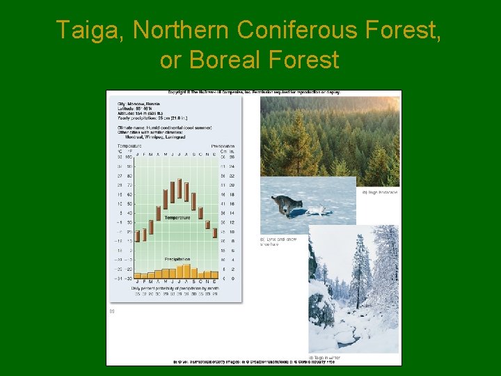 Taiga, Northern Coniferous Forest, or Boreal Forest Taiga, Northern Coniferous Forest, or Boreal Forest
