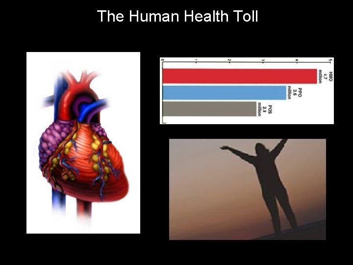 The Human Health Toll 