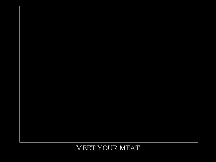 MEET YOUR MEAT 