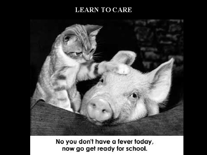 LEARN TO CARE 