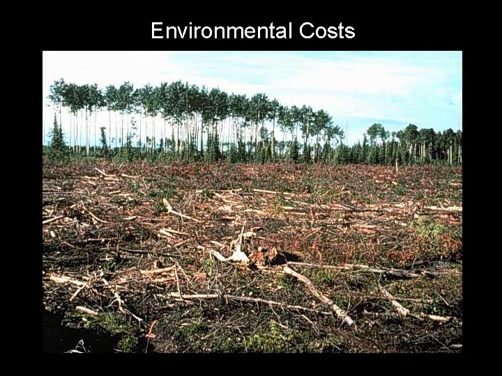 Environmental Costs 