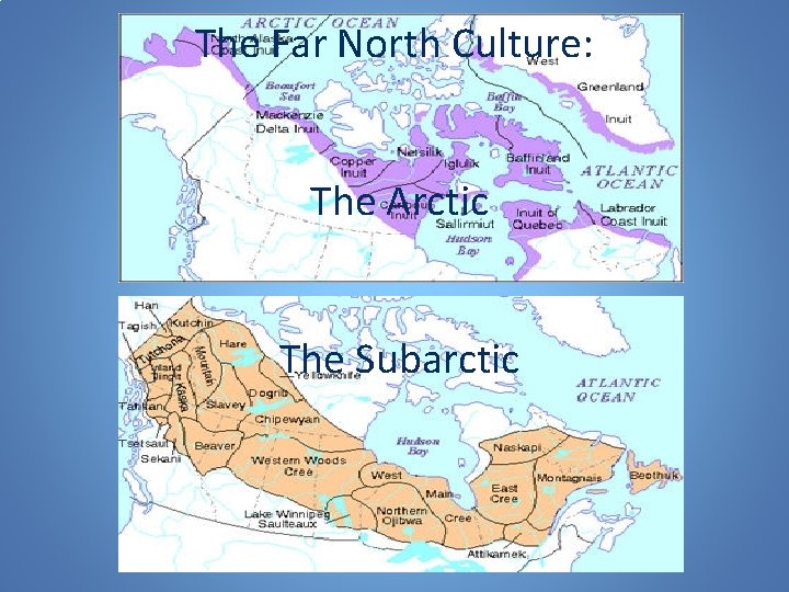 The Far North Culture: The Arctic The Subarctic 