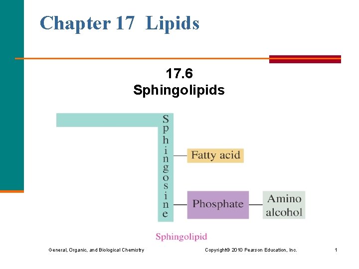 Chapter 17 Lipids 17. 6 Sphingolipids General, Organic, and Biological Chemistry Copyright © 2010