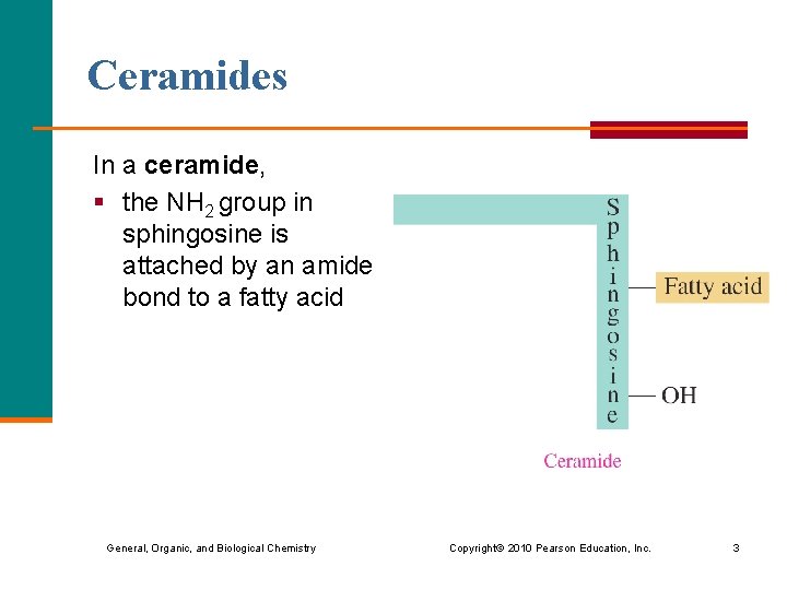 Ceramides In a ceramide, § the NH 2 group in sphingosine is attached by