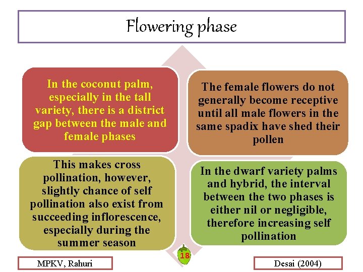Flowering phase In the coconut palm, especially in the tall variety, there is a Flowering phase In the coconut palm, especially in the tall variety, there is a