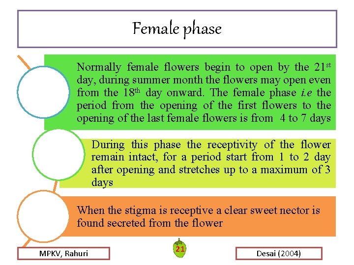 Female phase Normally female flowers begin to open by the 21 st day, during Female phase Normally female flowers begin to open by the 21 st day, during