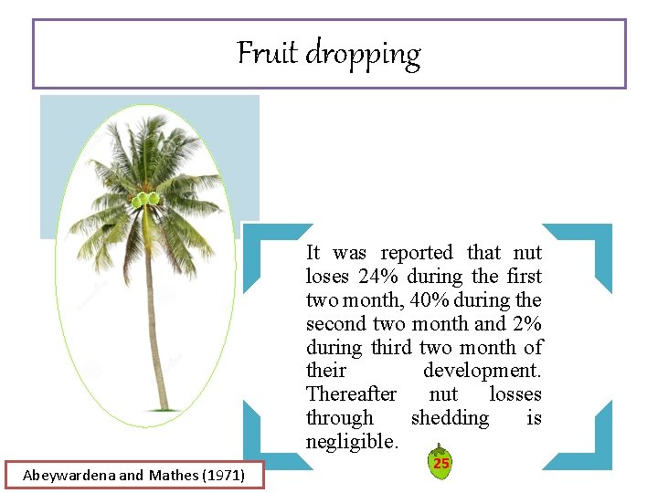 Fruit dropping It was reported that nut loses 24% during the first two month, Fruit dropping It was reported that nut loses 24% during the first two month,