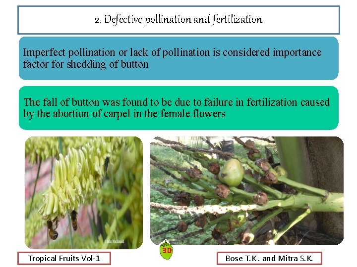 2. Defective pollination and fertilization Imperfect pollination or lack of pollination is considered importance 2. Defective pollination and fertilization Imperfect pollination or lack of pollination is considered importance