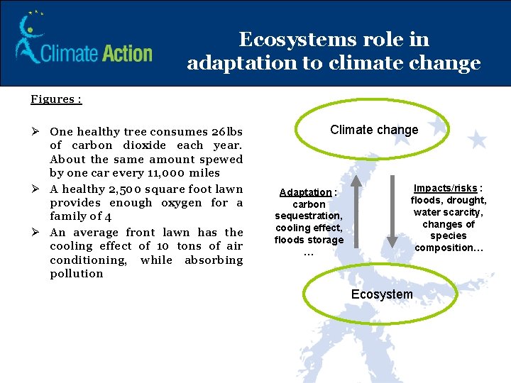 Ecosystems role in adaptation to climate change Figures : Ø One healthy tree consumes Ecosystems role in adaptation to climate change Figures : Ø One healthy tree consumes