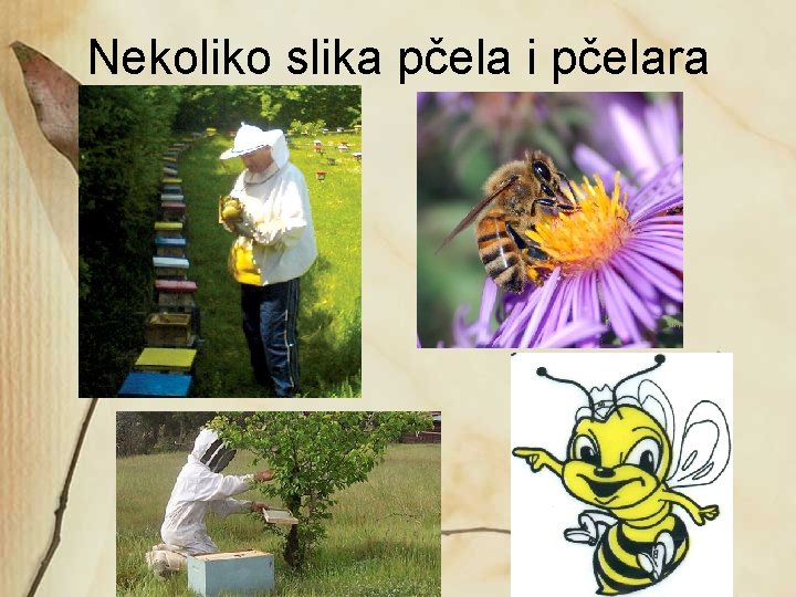 Nekoliko slika pčela i pčelara 