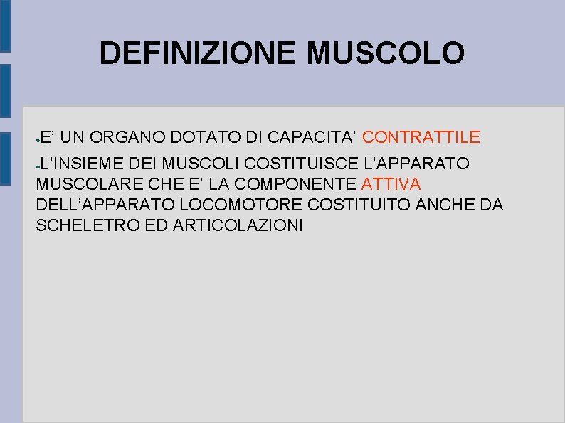 DEFINIZIONE MUSCOLO ● E’ UN ORGANO DOTATO DI CAPACITA’ CONTRATTILE L’INSIEME DEI MUSCOLI COSTITUISCE