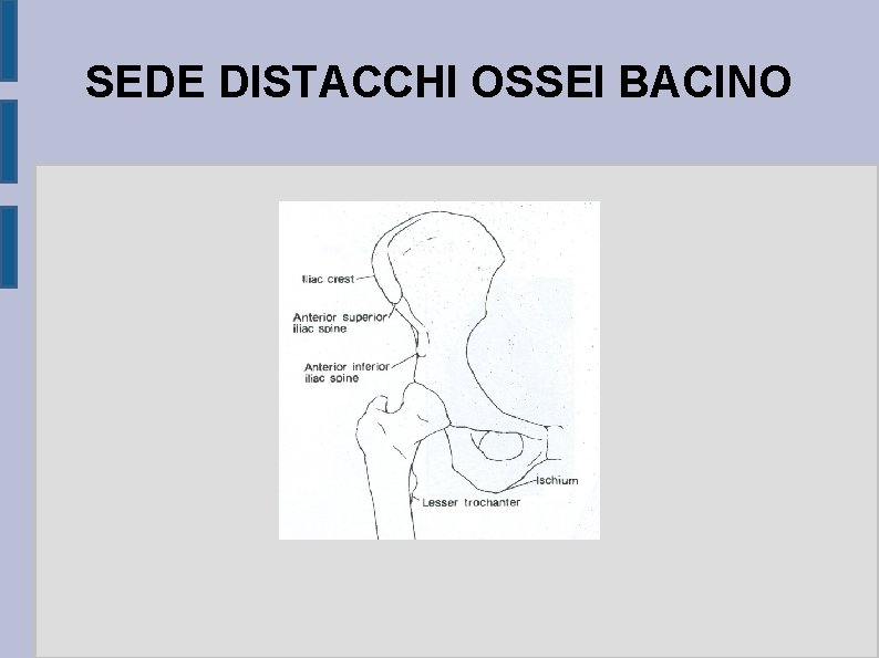 SEDE DISTACCHI OSSEI BACINO 