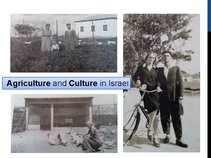 Agriculture and Culture in Israel 