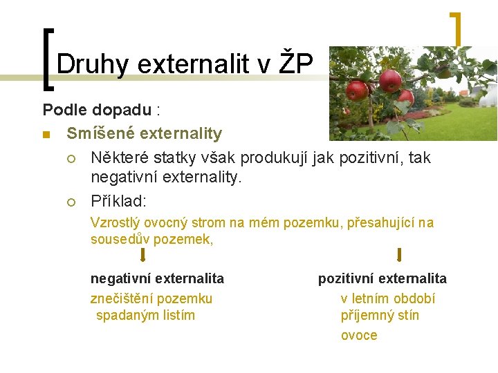 Druhy externalit v ŽP Podle dopadu : n Smíšené externality ¡ Některé statky však