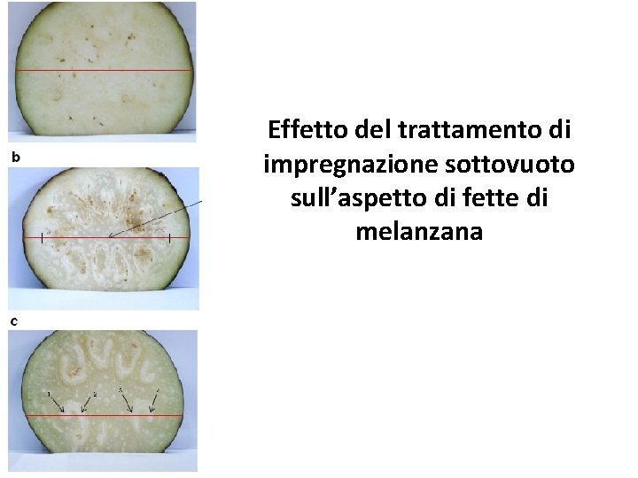 Effetto del trattamento di impregnazione sottovuoto sull’aspetto di fette di melanzana 