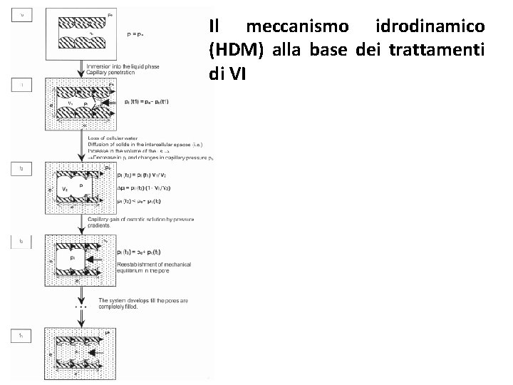 Il meccanismo idrodinamico (HDM) alla base dei trattamenti di VI 