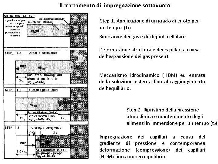 Il trattamento di impregnazione sottovuoto Step 1. Applicazione di un grado di vuoto per