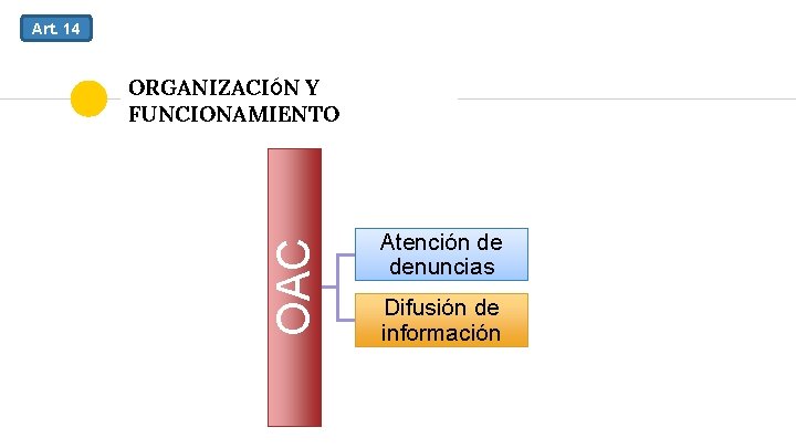 Art. 14 OAC ORGANIZACIÓN Y FUNCIONAMIENTO Atención de denuncias Difusión de información 