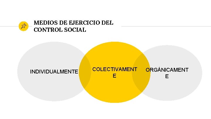 MEDIOS DE EJERCICIO DEL CONTROL SOCIAL INDIVIDUALMENTE COLECTIVAMENT E ORGÁNICAMENT E 