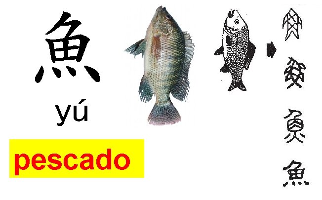 魚 yú pescado 魚 yú pescado