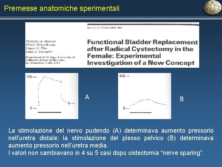 Premesse anatomiche sperimentali A B La stimolazione del nervo pudendo (A) determinava aumento pressorio