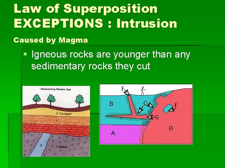 Law of Superposition EXCEPTIONS : Intrusion Caused by Magma § Igneous rocks are younger