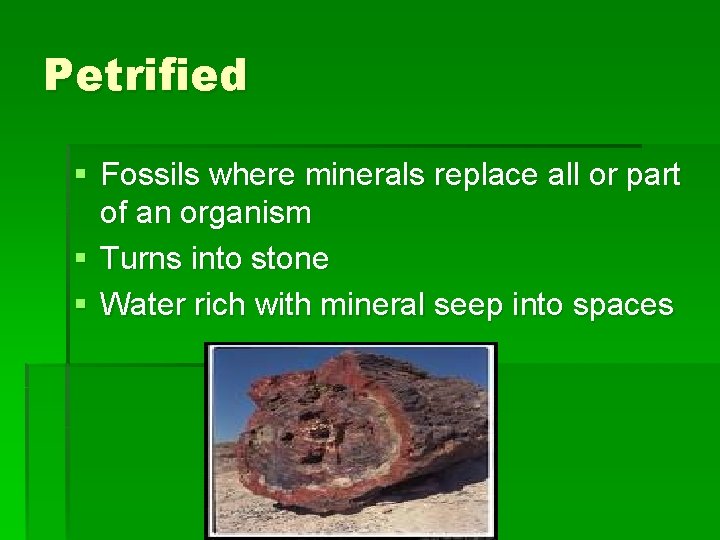 Petrified § Fossils where minerals replace all or part of an organism § Turns