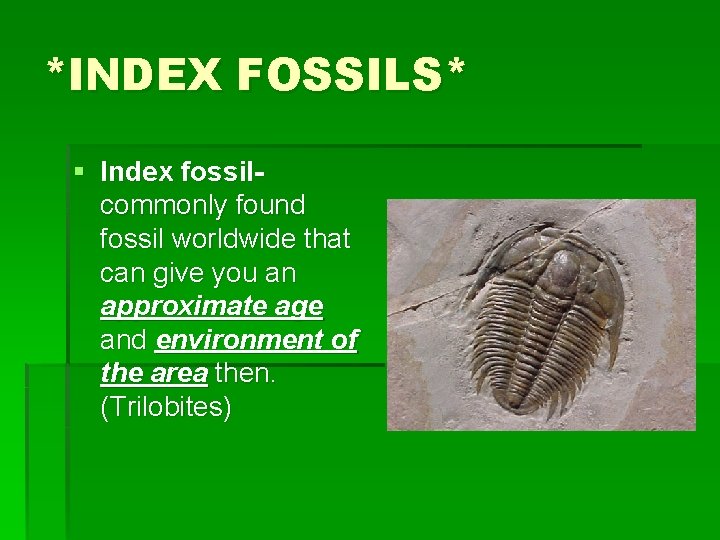 *INDEX FOSSILS* § Index fossil- commonly found fossil worldwide that can give you an
