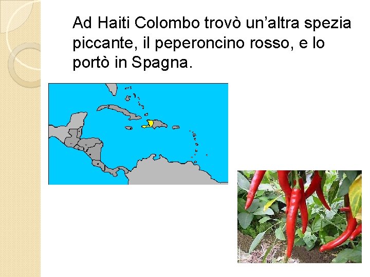 Ad Haiti Colombo trovò un’altra spezia piccante, il peperoncino rosso, e lo portò in