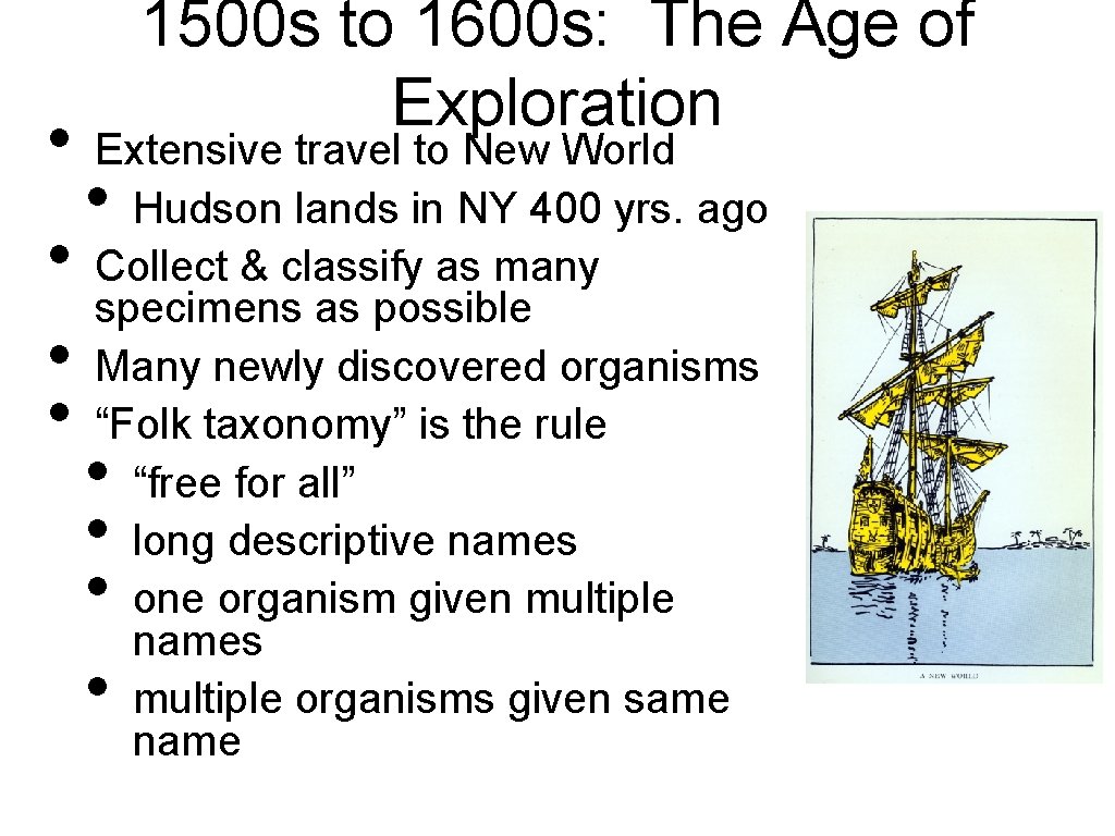  • • 1500 s to 1600 s: The Age of Exploration Extensive travel