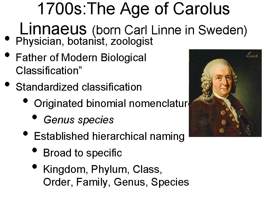 1700 s: The Age of Carolus Linnaeus (born Carl Linne in Sweden) • Physician,