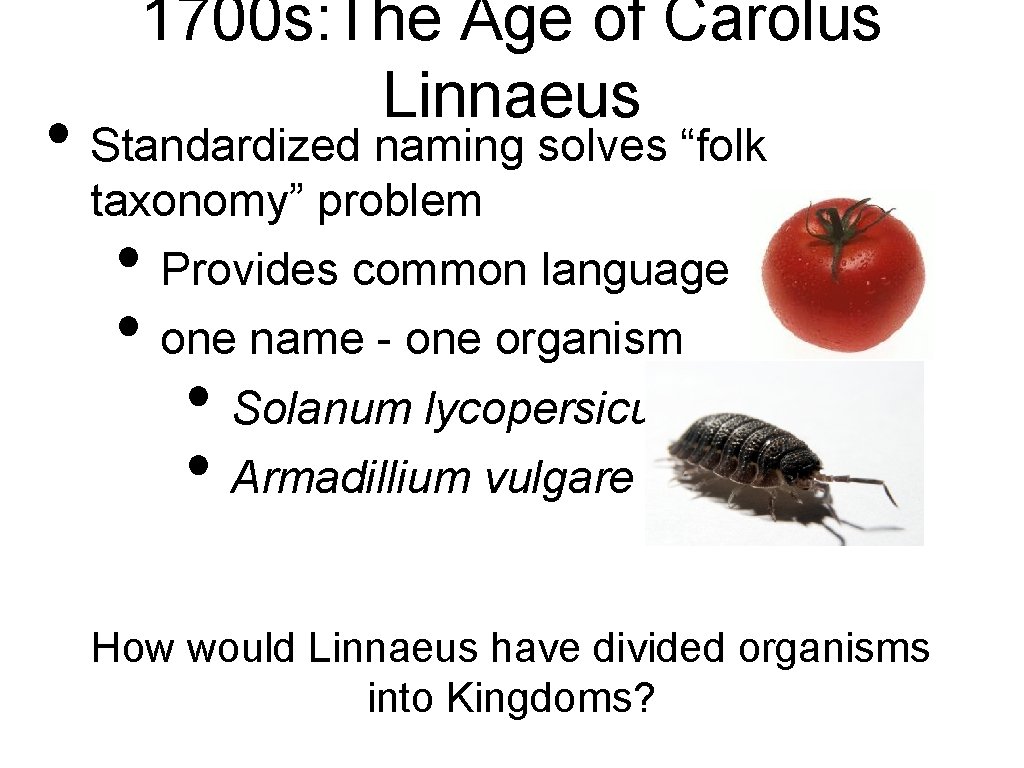1700 s: The Age of Carolus Linnaeus • Standardized naming solves “folk taxonomy” problem