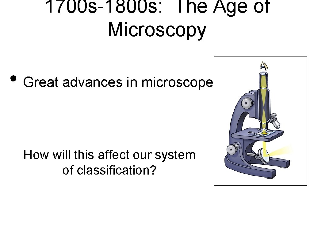 1700 s-1800 s: The Age of Microscopy • Great advances in microscopes How will