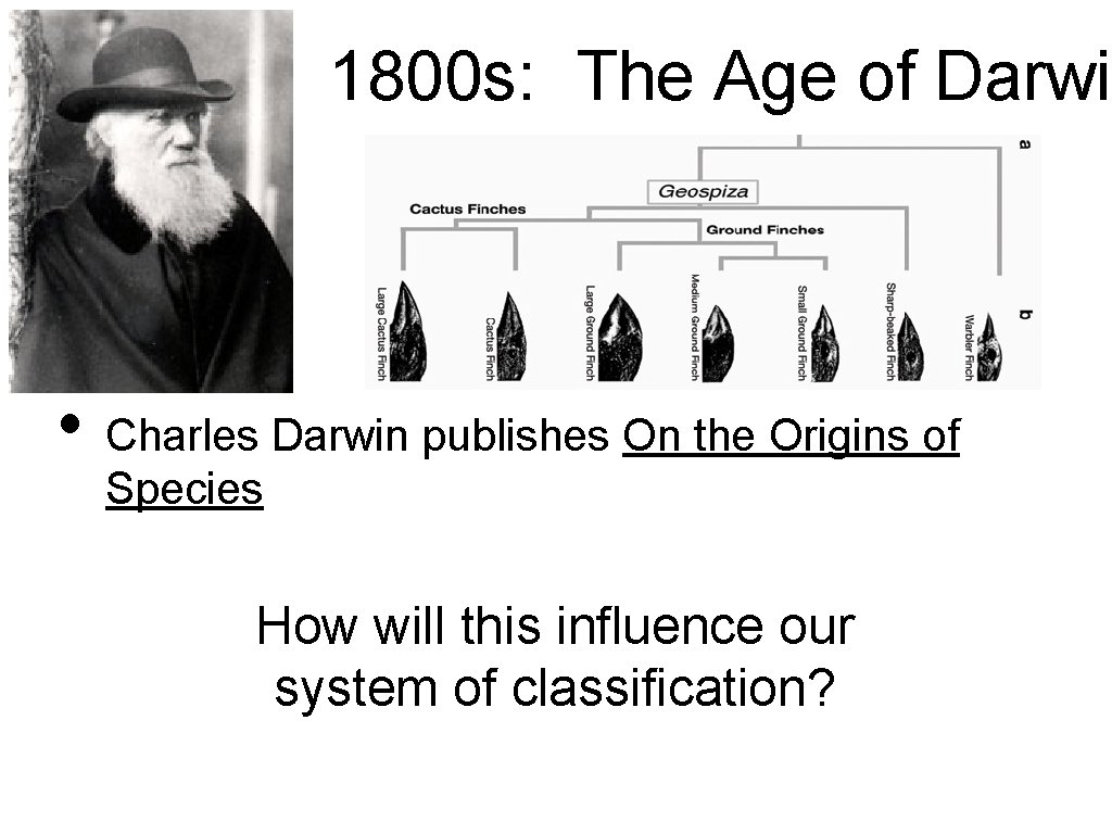 1800 s: The Age of Darwin • Charles Darwin publishes On the Origins of