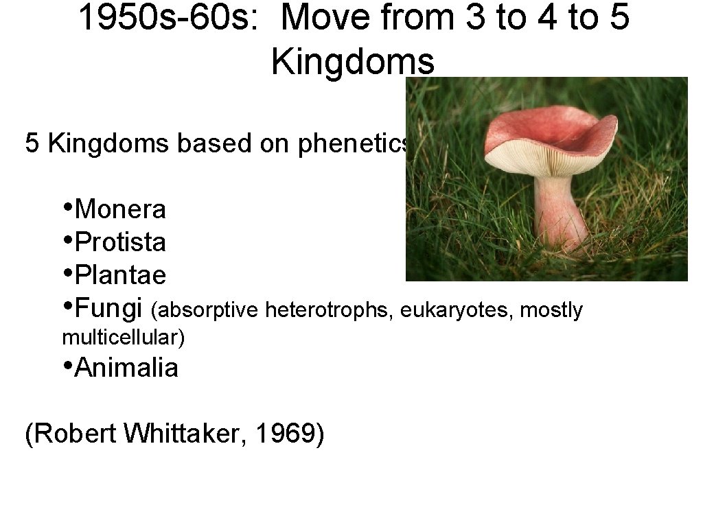 1950 s-60 s: Move from 3 to 4 to 5 Kingdoms based on phenetics