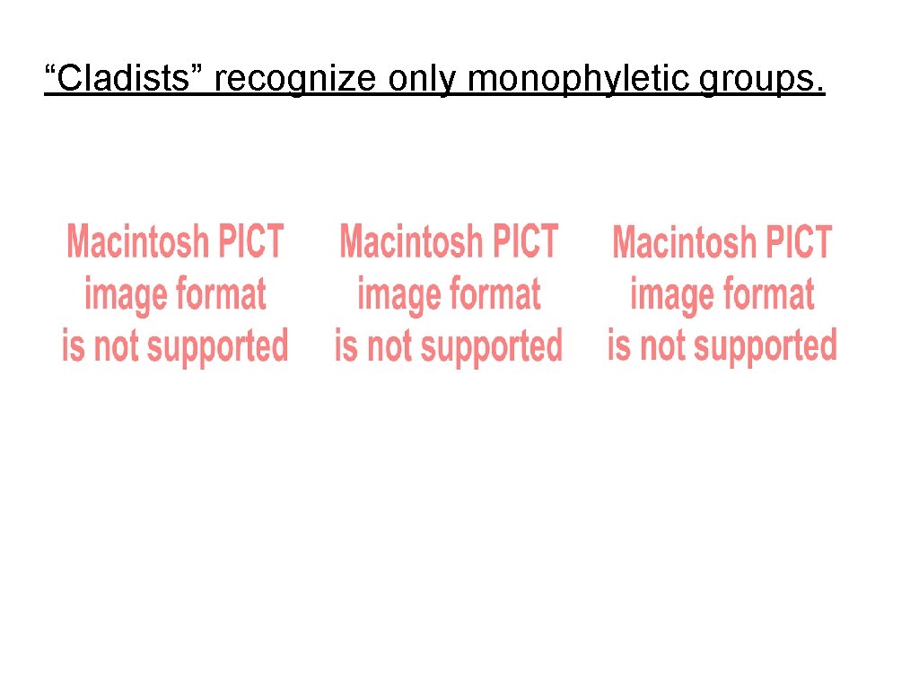 “Cladists” recognize only monophyletic groups. 