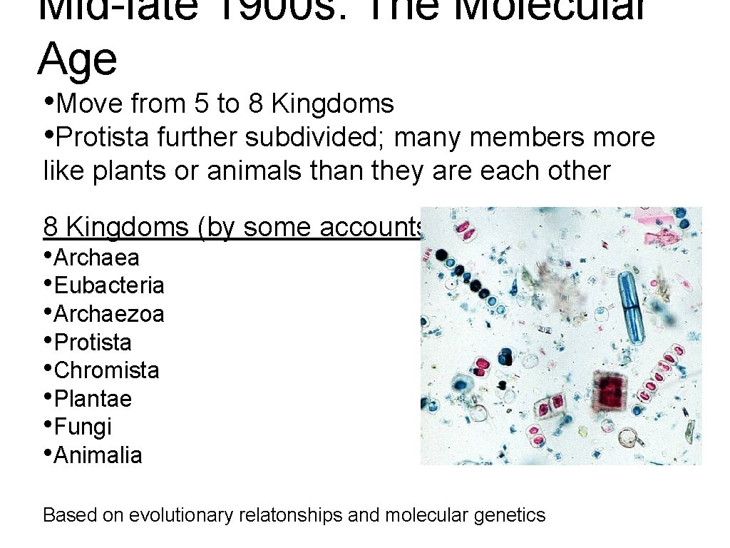 Mid-late 1900 s: The Molecular Age • Move from 5 to 8 Kingdoms •