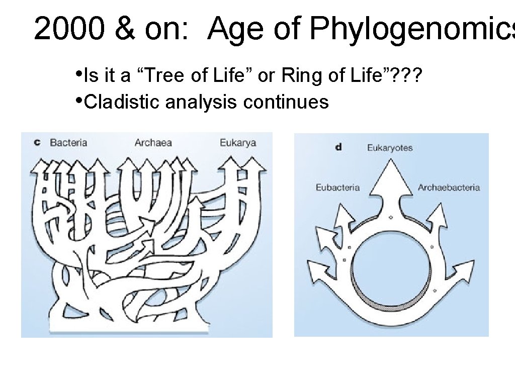 2000 & on: Age of Phylogenomics • Is it a “Tree of Life” or