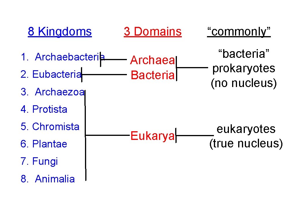 8 Kingdoms 1. Archaebacteria 2. Eubacteria 3 Domains “commonly” Archaea Bacteria “bacteria” prokaryotes (no