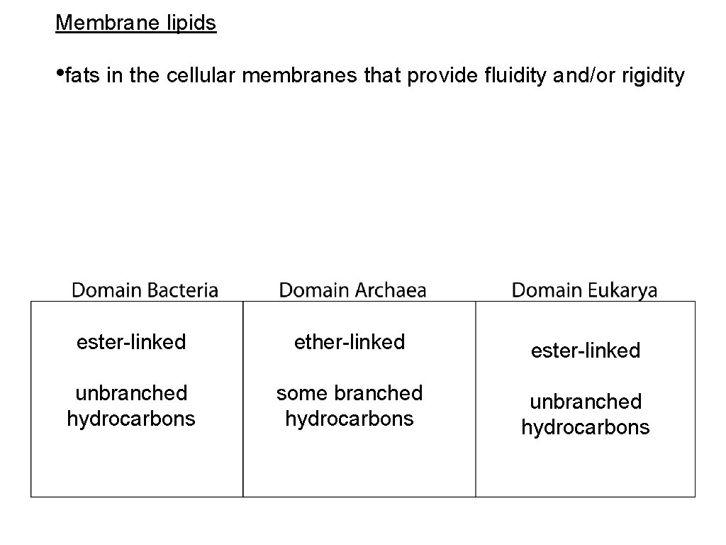 Membrane lipids • fats in the cellular membranes that provide fluidity and/or rigidity ester-linked