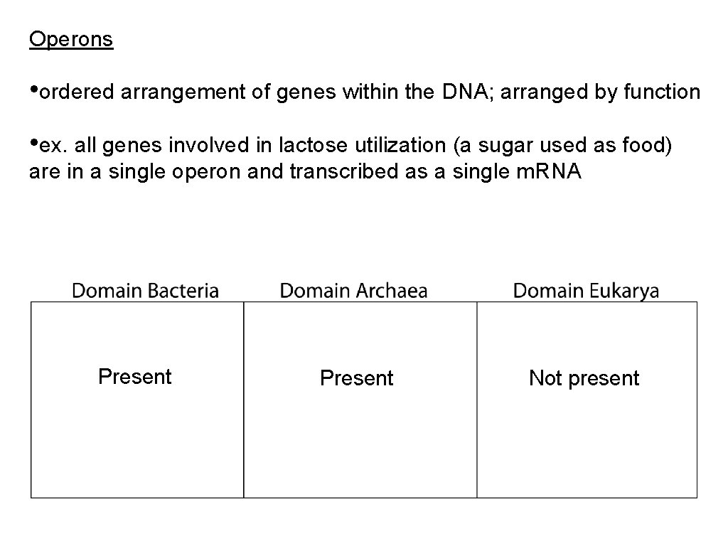 Operons • ordered arrangement of genes within the DNA; arranged by function • ex.