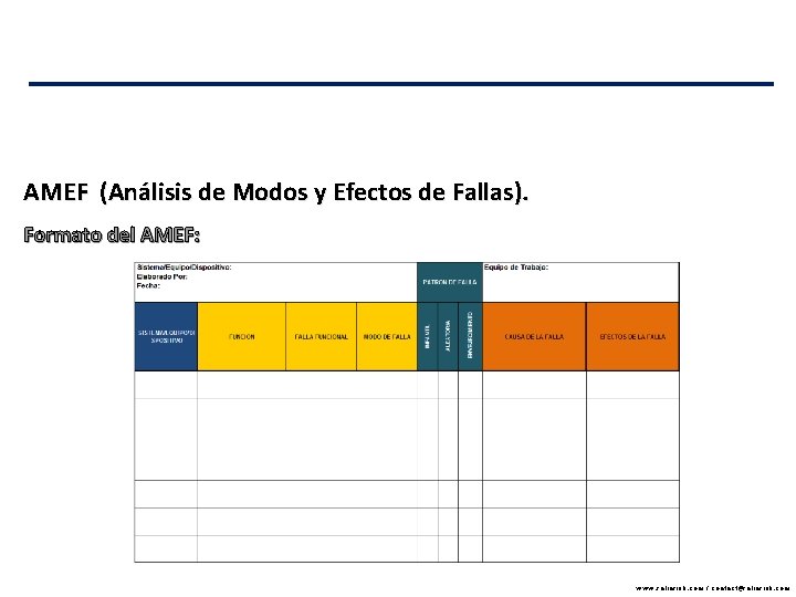 AMEF (Análisis de Modos y Efectos de Fallas). Formato del AMEF: www. reliarisk. com