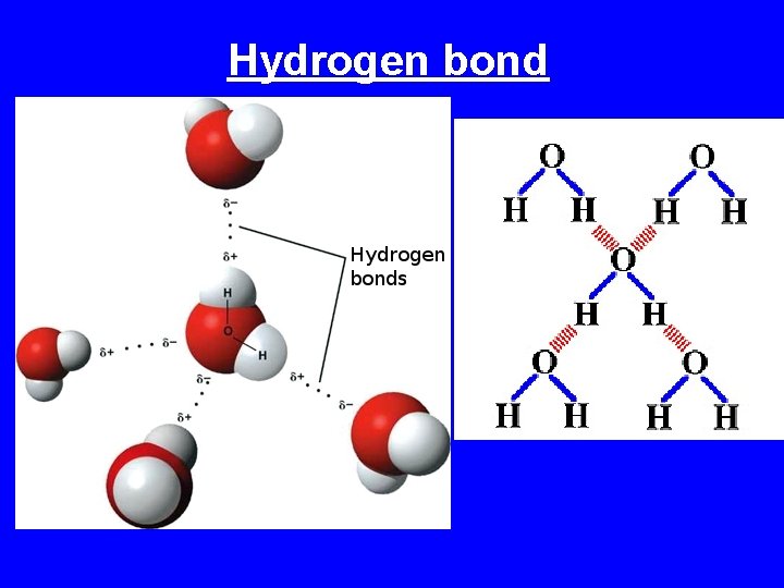 Hydrogen bond 
