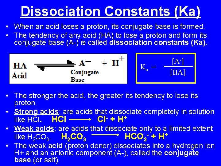 Dissociation Constants (Ka) • When an acid loses a proton, its conjugate base is