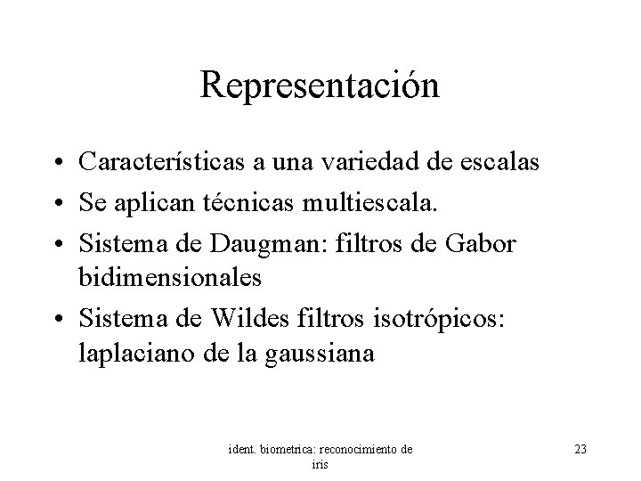 Representación • Características a una variedad de escalas • Se aplican técnicas multiescala. •