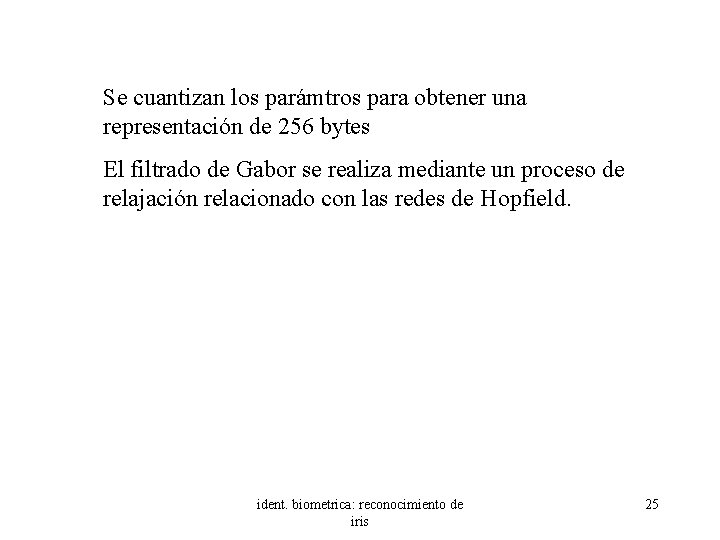 Se cuantizan los parámtros para obtener una representación de 256 bytes El filtrado de